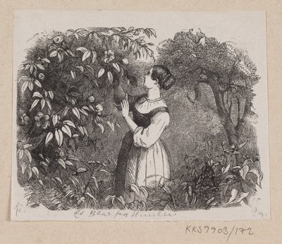 Kuvitus "A Leaf from Heaven" H.C. Andersen, "Satuja ja tarinoita", osa 2 tekijältä H.P. Hansen