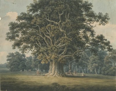 Needwood - Swipcar Oak: akvarellimaalaus ja [?1800-luvun alku] tekijältä H Moore
