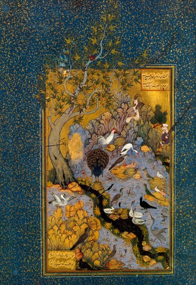 Folio Mantiq al-Tayrista Lintujen kieli, Attar, c1600. tekijältä Habib Allah