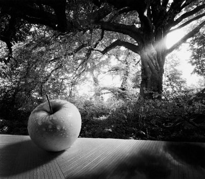 Antakaa kuulua tietämykselle tekijältä Hag Hag