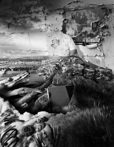 Ihmisen tyhmyys tekijältä Hag Hag