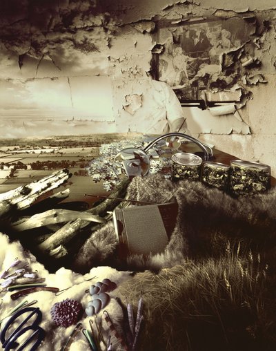 Ihmisen tyhmyys tekijältä Hag Hag