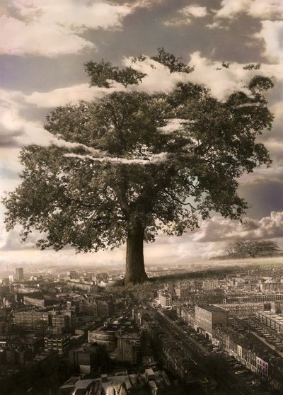 The Tree Islingtonissa tekijältä Hag Hag