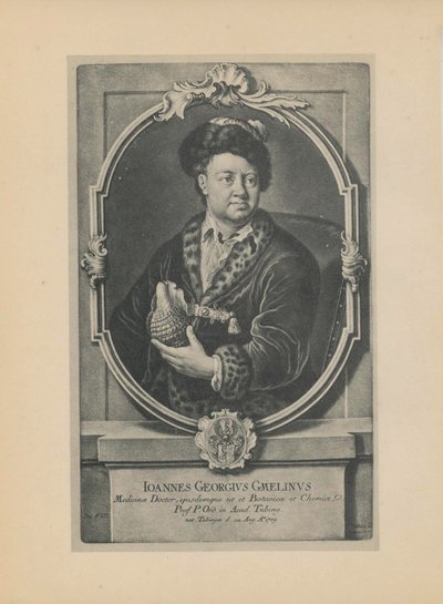 Luonnontieteilijä, kasvitieteilijä ja maantieteilijä Johann Georg Gmelinin muotokuva 1709-1755, 1700-luvun puoliväli. tekijältä Haid