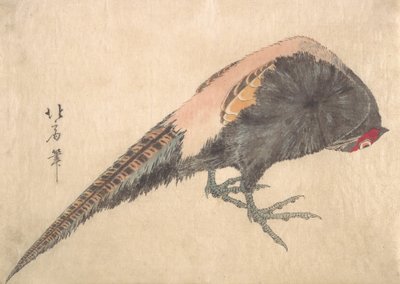 Ocell, 1830. finlandès tekijältä Hakusanjin Hokui