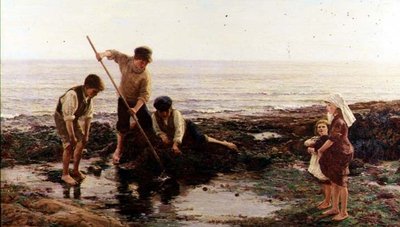 Katkaravut tekijältä Hamilton Macallum