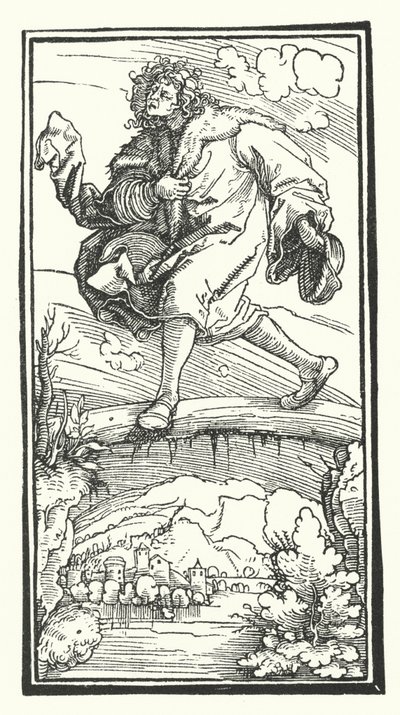 Petrarchin puupiirros teoksesta De Remediis Utriusque Fortunae (Lääkitys onnettomuuteen ja virheeseen) (kaiverrus) tekijältä Hans (after) Burgkmair
