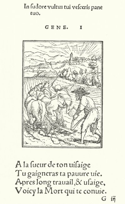 Ploughman eli maanviljelijä (kaiverrus) tekijältä Hans (after) Holbein the Younger