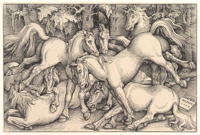 Seitsemän hevosen ryhmä, 1534. tekijältä Hans Baldung