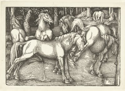Kuuden taisteluhevosen ryhmä tekijältä Hans Baldung Grien
