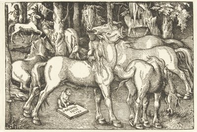 Seitsemän hevosen ja apinan ryhmä tekijältä Hans Baldung Grien