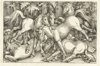 Seitsemän taisteluhevosen ryhmä tekijältä Hans Baldung Grien