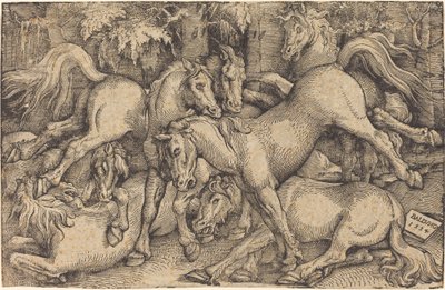 Seitsemän hevosen ryhmä metsässä tekijältä Hans Baldung Grien