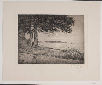Fiord de Vejle finlandès tekijältä Hans Christian Gether Caspersen