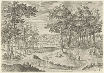 Vista d