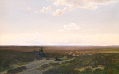 Näkymä Pårup Moorsille lähellä Silkeborgia, Jyllannissa tekijältä Hans Friis