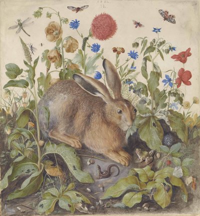 Jänis kasvien keskellä, 1582 tekijältä Hans Hoffmann