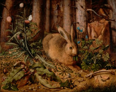 Jänis metsässä, n. 1585 (öljy paneelissa) tekijältä Hans Hoffmann