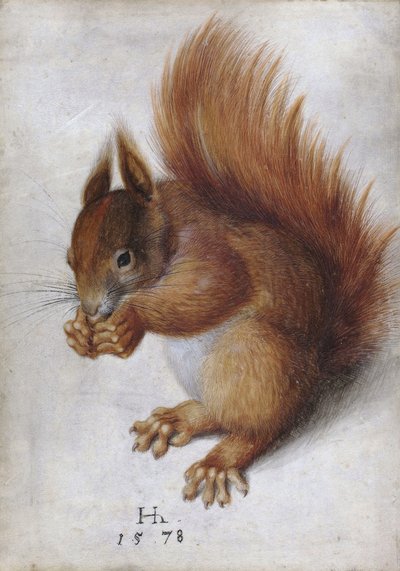 Punainen orava tekijältä Hans Hoffmann