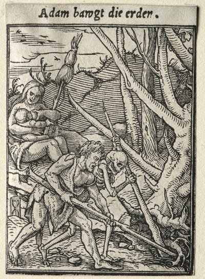 Dance of Death: Adam Tilling the Ground tekijältä Hans Holbein