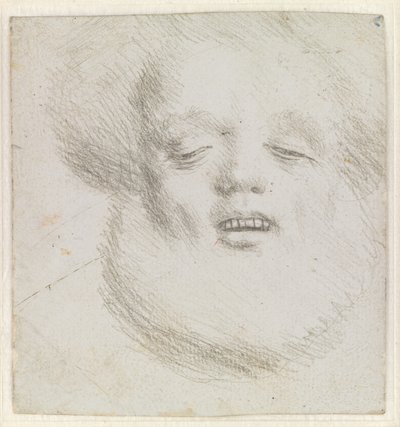 Parrakkaan miehen pää kasvot alhaalta katsottuna tekijältä Hans Holbein d.Æ.