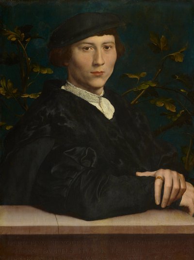 Derich Born (1510-gt;1549) tekijältä Hans Holbein the Younger