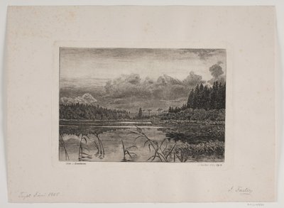 Järvi kuusimetsässä tekijältä Hans Julius Fæster