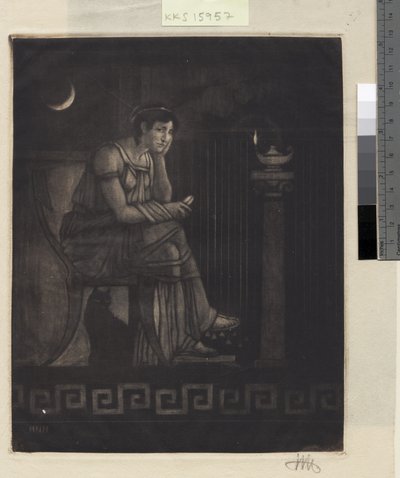 Penelope kangaspuulla tekijältä Hans Nikolaj Hansen