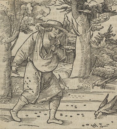 Linnut syövät kylväjän siemeniä, Hymmelwagen auff dem, wer wol Leben..., 1517. tekijältä Hans Schäufelein the Elder