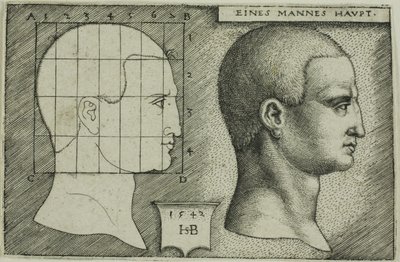 Profiili Study of Man
