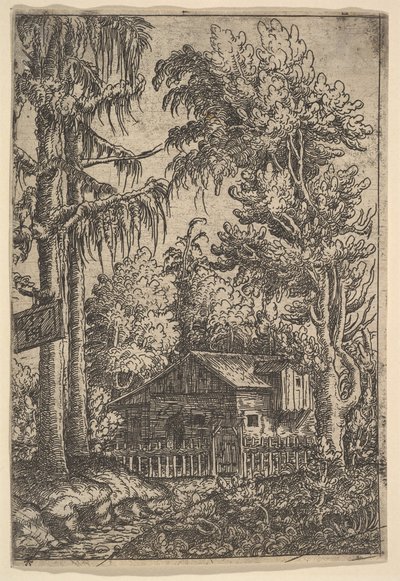Mökki puiden keskellä, 1551. tekijältä Hans Sebald Lautensack