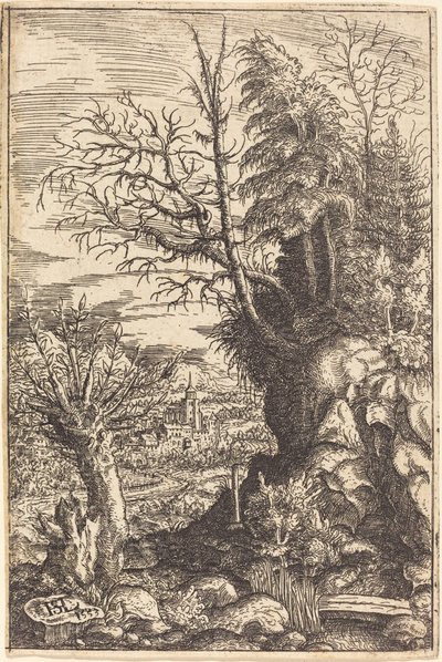 Maisema pajun kanssa, 1553. tekijältä Hans Sebald Lautensack