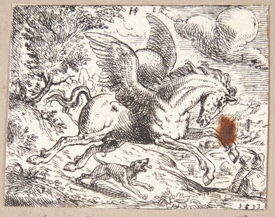 Pegasus tekijältä Hans Strohmayer