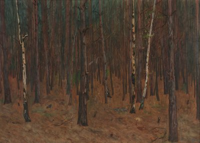 Waldinneres tekijältä Hans Tichy