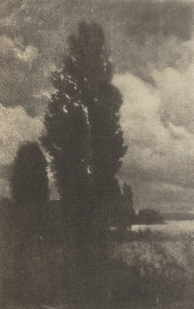 Kameratyö: Poppelit ja pilvet, 1906. tekijältä Hans Watzek