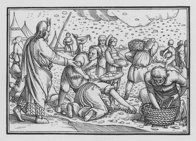 Israelilaiset nurisevat halusta leipää, Exodus XVI, 4 tekijältä Hans after Holbein the Younger