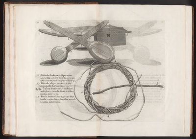 Kuvitus matkasta Maderan saarelle, Barbados...Vol.2, 1815 tekijältä Hans after Sloane