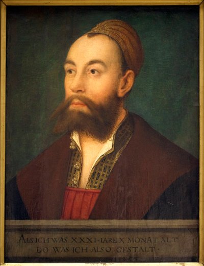Pankkiiri Anton Fuggerin (1493-1560) muotokuva (tekstissä: edustaja sellaisena kuin hän oli 31 vuoden ja 10 kuukauden iässä) - Hans Maler dit de Schwazin (1480-1526 tai 1529) maalaus, öljy kankaalle, noin 1525 - Saksalainen taide 1500-luvulla - Musee des B tekijältä Hans or Johan Maler