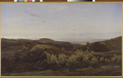 Heather Hills lähellä Ryeä, Jyllanti tekijältä Harald Foss