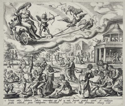 Venus tekijältä Harmen Jansz. Muller