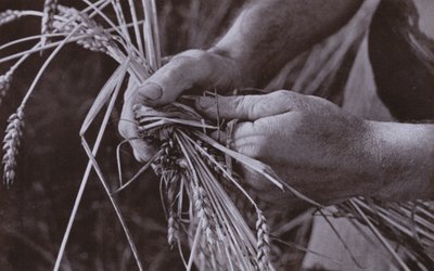 Olkinauhojen tekeminen (m/w kuva) tekijältä Harold Burdekin