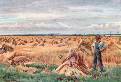 Manitoban vehnäpelloilla tekijältä Harold Copping