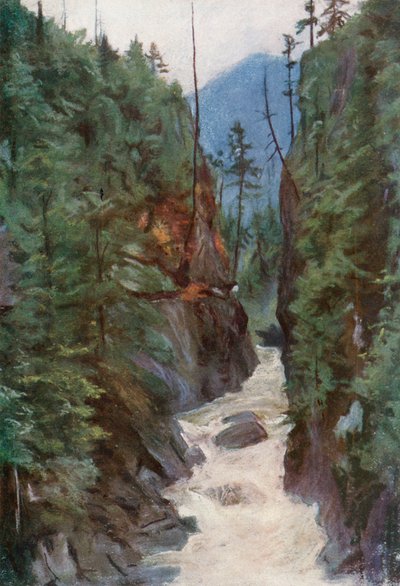 Capilano Canyon, lähellä Pohjois-Vancouveria tekijältä Harold Copping