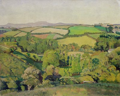 Drift Valley (öljy kankaalle) tekijältä Harold Harvey