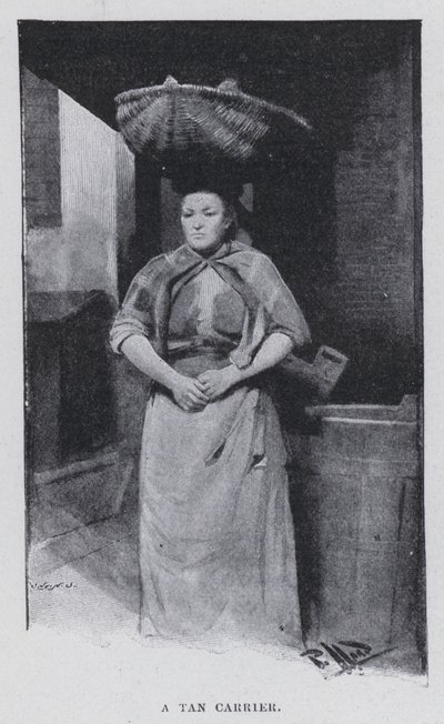 Rusketuskangas (m/w kuva) tekijältä Harold Hume Piffard