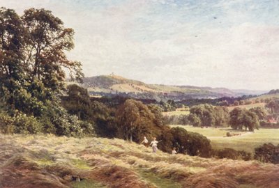 A Hayfield, Wonersh (värilitro). tekijältä Harold Sutton Palmer