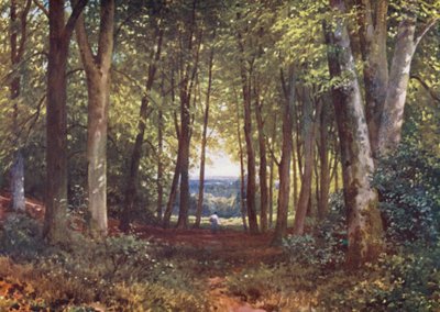 Deer-Leap Wood, Wotton (värilitro) tekijältä Harold Sutton Palmer