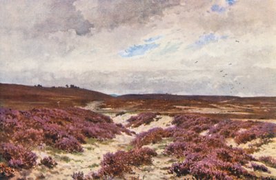 Frensham Common (värilitro) tekijältä Harold Sutton Palmer