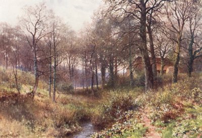 The Farm midst the Woods, lähellä Haslemerea (värilitro). tekijältä Harold Sutton Palmer