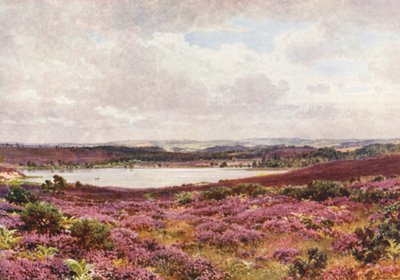 Suuri lampi, Frensham (värilitro) tekijältä Harold Sutton Palmer
